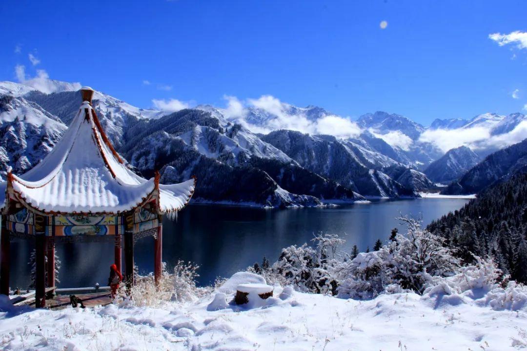 怎样才能更好更快的去除黑眼圈！